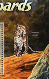 Leopards and Lions Stamp Panthera Leo Panthera Pardus S/S MNH #2139 / Bl.167