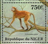 Primates Stamp Galago Senegalensis Souvenir Sheet MNH #2125-2128