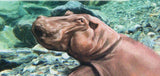 Hippopotamus Stamp Hippopotamus Amphibius S/S MNH #2097-2100