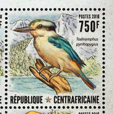 Kingfishers Stamp Birds Cittura Cyanotis Ceyx Madagascariensis S/S MNH #6610-661