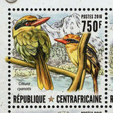 Kingfishers Stamp Birds Cittura Cyanotis Ceyx Madagascariensis S/S MNH #6610-661