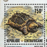 Turtles Stamp Macrochelys Temminckii Trachemys Scripta  S/S MNH #6590-6593