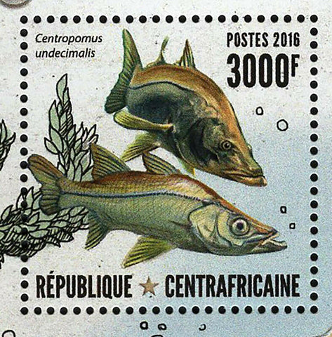 Fish Stamp Centropomus Undecimalis Astronotus Ocellatus S/S MNH #6589 / Bl.1539