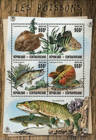 Fish Stamp Sander Lucioperca Scophthalmus Rhombus S/S MNH #6585-6588