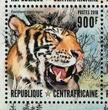 Tigers Stamp Panthera Tigris Altaica Amoyensis Sumatrae S/S MNH #6565-6568