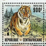 Tigers Stamp Panthera Tigris Altaica Amoyensis Sumatrae S/S MNH #6565-6568