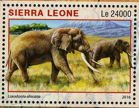 Park Amboseli Kenya Stamp Loxodonta Africana S/S MNH #7297 / Bl.979