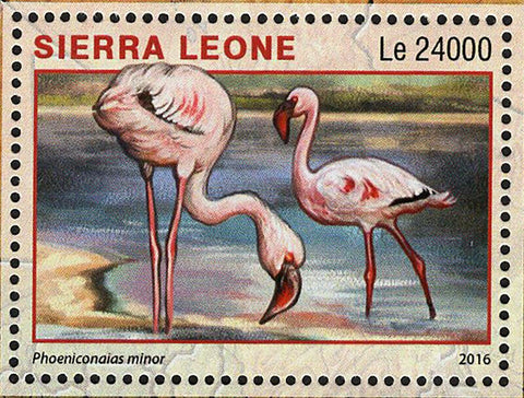 Park Etosha Namibia Stamp Phoeniconaias Minor S/S MNH #7299 / Bl.981