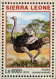 Park Etosha Namibia Stamp Ceratotherium Simum S/S MNH #7238-7241