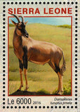 Maasai Mara Stamp Kenya Otocyon Megalotis S/S MNH #7234-7237