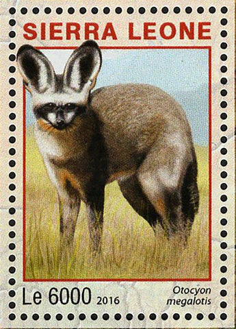 Maasai Mara Stamp Kenya Otocyon Megalotis S/S MNH #7234-7237