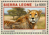 Maasai Mara Stamp Kenya Otocyon Megalotis S/S MNH #7234-7237