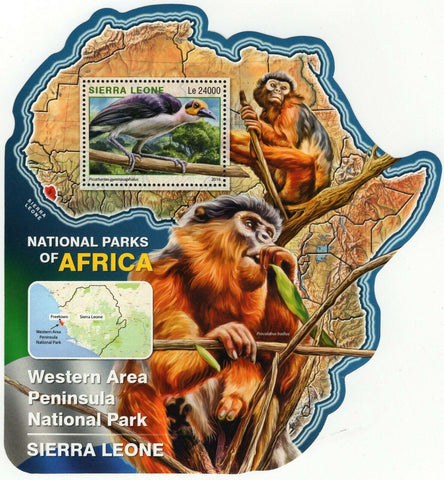 Park Western Area Stamp Sierra Leone Picathartes Gymnocephalus S/S MNH #7305