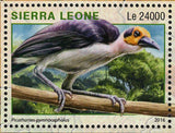 Park Western Area Stamp Sierra Leone Picathartes Gymnocephalus S/S MNH #7305