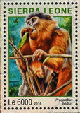 Park Western Area Stamp Sierra Leone Pan Troglodytes S/S MNH #7262-7265