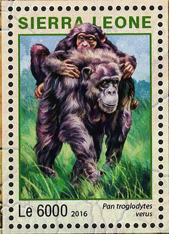 Park Western Area Stamp Sierra Leone Pan Troglodytes S/S MNH #7262-7265