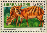 Park Western Area Stamp Sierra Leone Pan Troglodytes S/S MNH #7262-7265