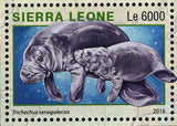 Park Western Area Stamp Sierra Leone Pan Troglodytes S/S MNH #7262-7265