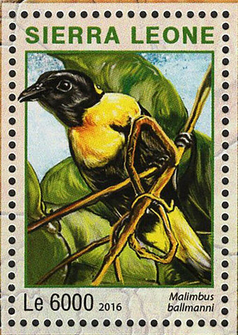 Park Gola Rainforest Stamp Malimbus Ballmanni S/S MNH #7254-7257