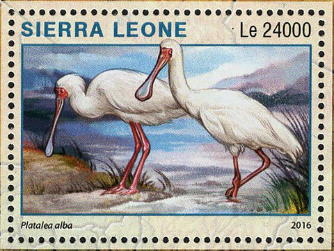 Selous Reserve Stamp Tanzania Platalea Alba S/S MNH #7309 / Bl.991