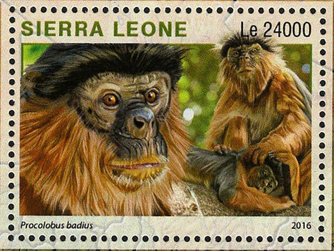 Outamba Kilimi Park Stamp Sierra Leone Procolobus Badius S/S MNH #7304 / Bl.986