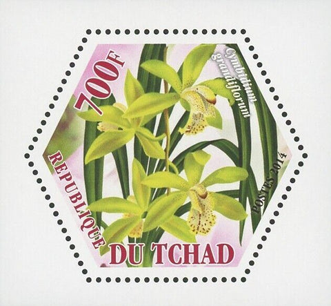 Orchid Plant Flower Flora Cymbidium Grandiflorum Mini Souvenir Sheet MNH