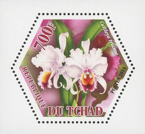 Orchid Plant Flower Nature Cattleya Trianae Mini Souvenir Sheet Mint NH