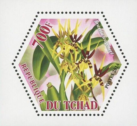Orchid Plant Flower Nature Brassia Wageneri Mini Souvenir Sheet Mint NH