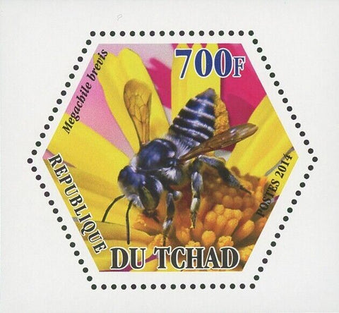 Bee Insect Megachile Brevis Mini Souvenir Sheet Mint NH