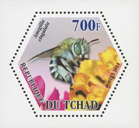 Bee Insect Ameguilla Cingulata Mini Souvenir Sheet Mint NH