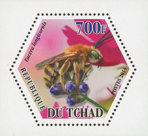 Bee Insect Eucera Longicornis Mini Souvenir Sheet Mint NH