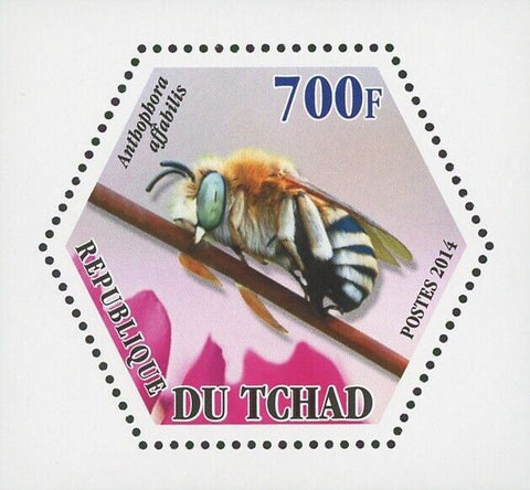 Bee Insect Anthophora Affabilis Mini Souvenir Sheet Mint NH