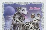 Dogs Stamp Pet Cute Animals Saint Bernard Dalmatian Souvenir Sheet MNH