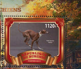 Dog Caniche Australian Berger Springer Animal Souvenir Sheet of 4 Stamps MNH