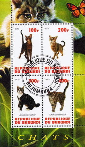 Cats Pet Domestic Animal Souvenir Sheet of 4