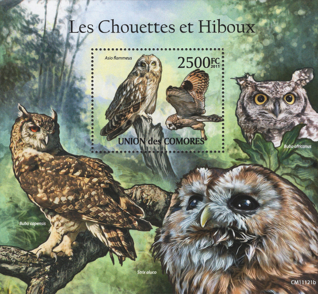 Stamps Birds Souvenir Sheet Mint NH Owls