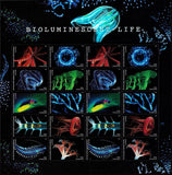 USA Stamps Ocean Bioluminescent Life Forever 2018 MNH Souvenir Sheet