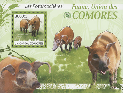 Bush Pigs Stamp Potamochoerus Porcus Souvenir Sheet Mint NH
