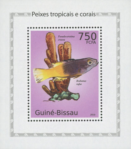 Tropical Fish Stamp And Corals Spanish Hogfish Mini Sov. Sheet MNH