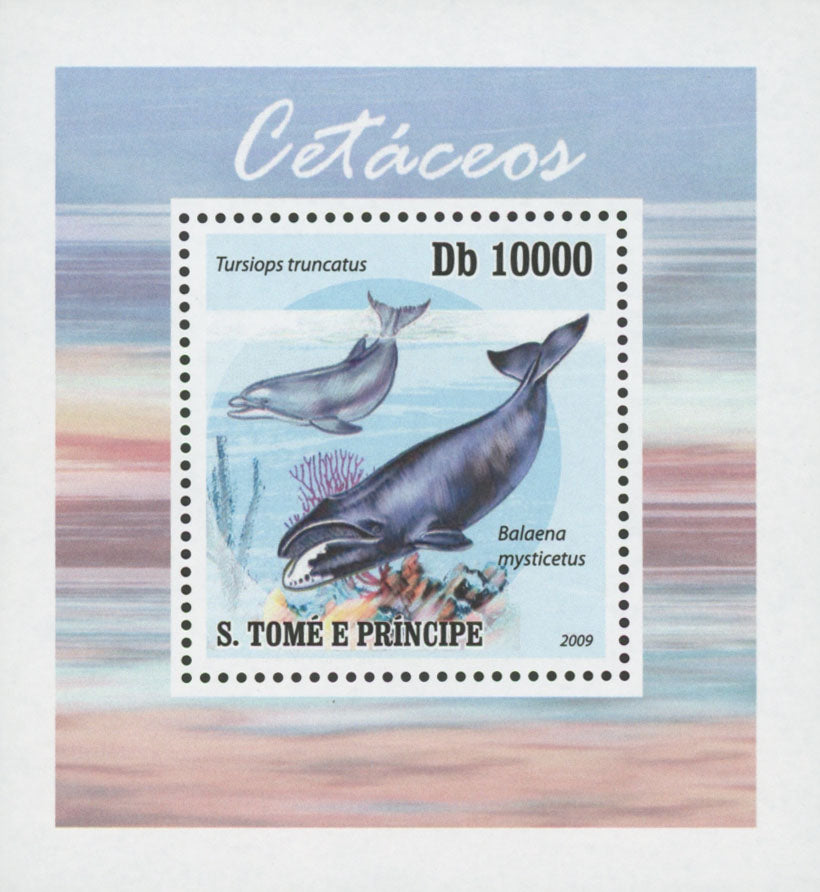 Cetaceans Tursiops Truncatus Whale Marine Fauna Mini Sov. Sheet Stamp MNH