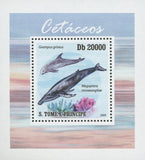 Cetaceans Grampus Griseus Mini Sov. Sheet MNH