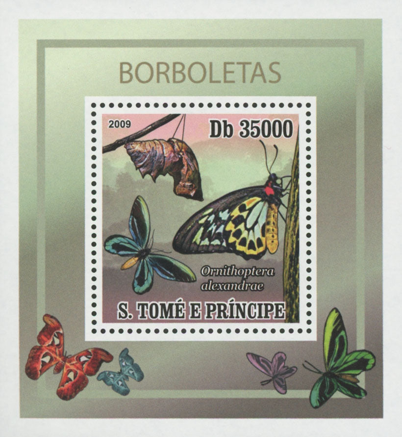 Butterflies Ornithoptera Alexandrae Mini Sov. Sheet MNH