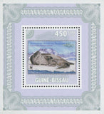 Stamp in Stamp Australian Antarctic Mini Sov. Sheet MNH
