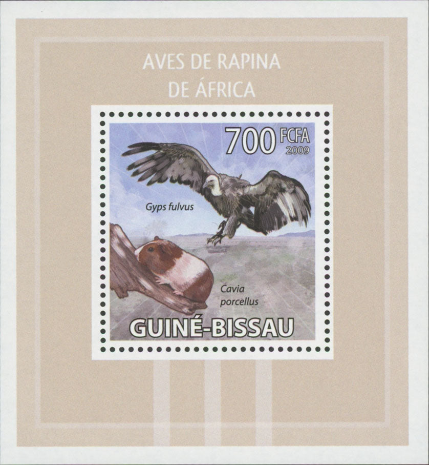 African Birds of Prey Stamp Gyps Fulvus Mini Sov. Sheet MNH