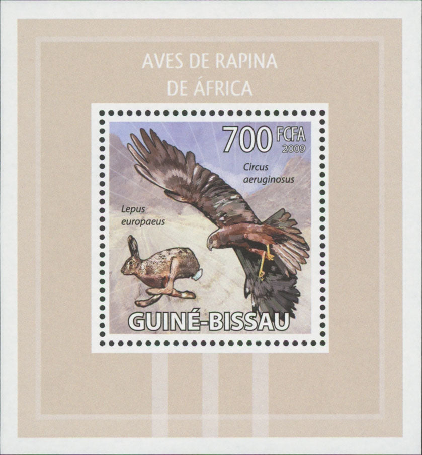 African Birds of Prey Stamp Circus Aeruginosus Mini Sov. Sheet MNH Mint