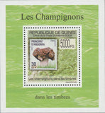 Stamp in a Stamp Mushrooms Andorra Mini Sov. Sheet MNH