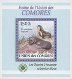 Fur Seal Stamp Fauna Subantarctic Arctocephalus Mini Sov. Sheet MNH