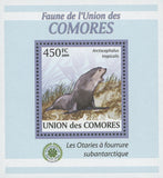 Fur Seal Fauna Subantarctic Arctocephalus Tropicalis Mini Sov. Sheet MNH