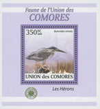 Herons Bird Stamp Butoride Striata Mini Sov. Sheet MNH