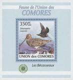 Sandpiper Bird Stamp Streptopella Capicola Mini Sov. Sheet MNH
